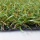 Umělý travní koberec Terraza 18mm
