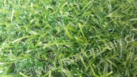 Umělý travní koberec Irene 20mm 
