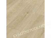 Aura 40 Spring Oak nude 818 vinylová podlaha lepená DOPRODEJ