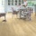 Quick-Step BALANCE GLUE PLUS BAGP 40018 Dub drift béžový